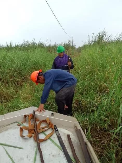 Cutting and spraying works in swamp terrain