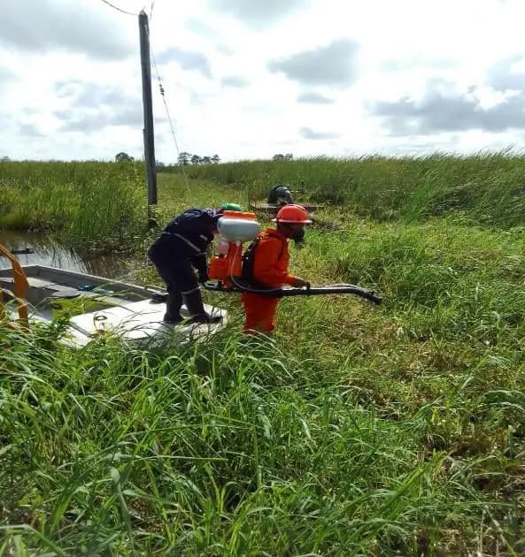 Crew working in a swamp area